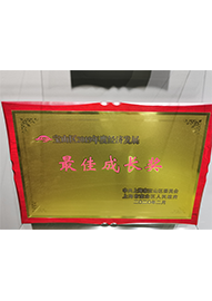 寶山區2019年度經濟發展最佳成長獎