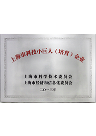 上海科技小巨人培育企業